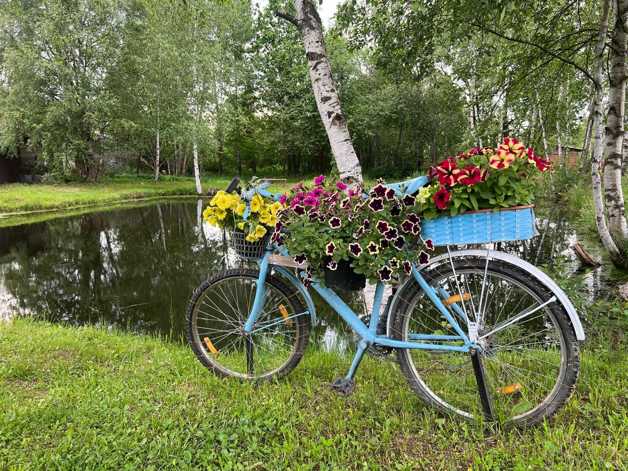 bike